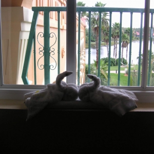 Towel swans at CSR