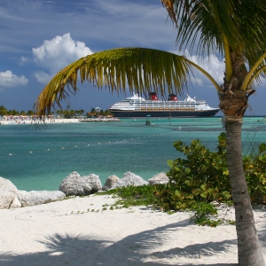Boat Under Palm