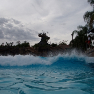The wave