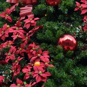 American Christmas