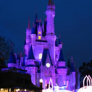 Purple Castle at Night