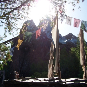 Expedition Everest