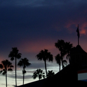 Epcot Sunset