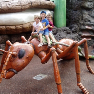 Giant Ant