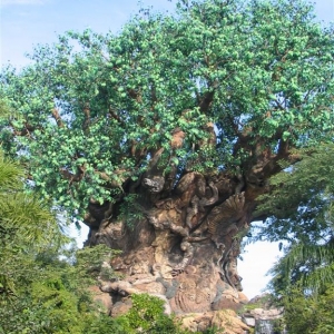 Tree of Life