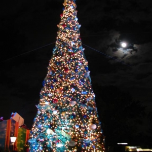 Epcot Christmas at Night