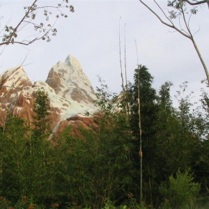 Mount Everest in Florida