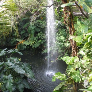 Polynesian Resort