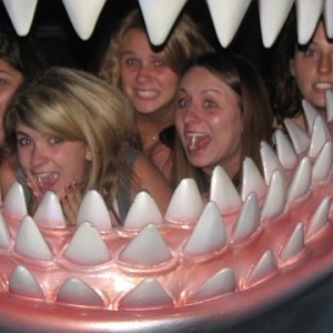 Shark Attack! :)