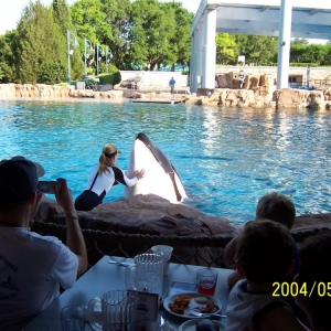 Dine with Shamu