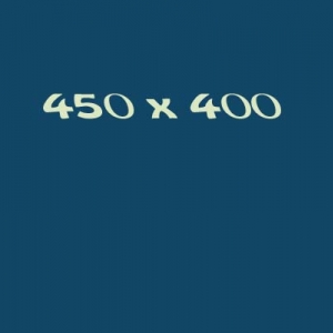 450x400