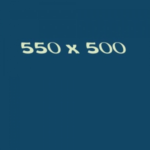 550x500