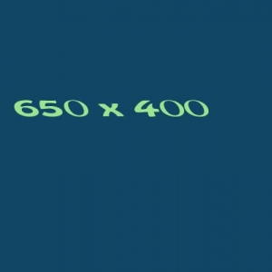 650x400