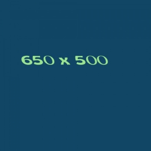 650x500