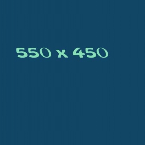 550x450