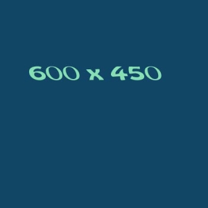 600x450