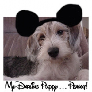 My little Peanut!