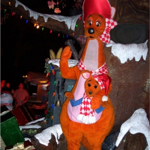 KangaRoo
