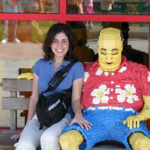 Alliecats reduced lego