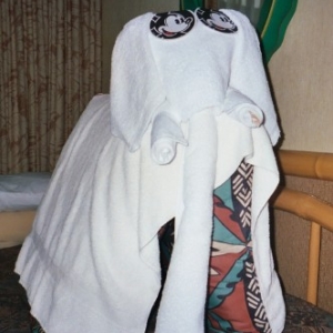 Animal towel