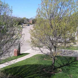 spring