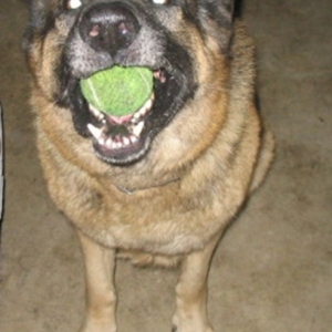 Czar
