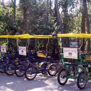 Rental bikes at marina.