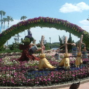 DSCF0140