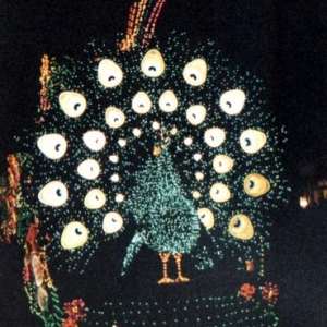 NBC logo at WDW?