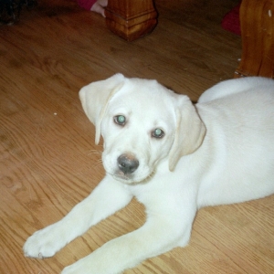 cutie1