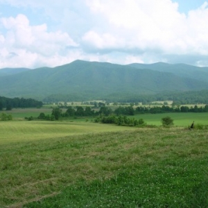Cades Cove 1
