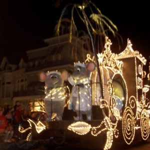 mice