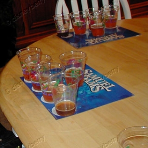 F&W Festival Samuel Adams Beer Tasting