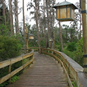 Wilderness Lodge Walkway