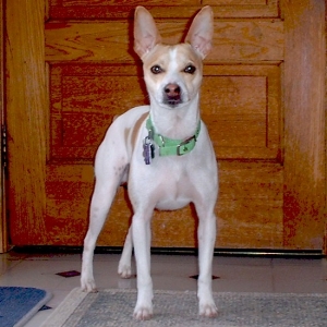 Tucker0134