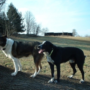 Koati_and_Casey2