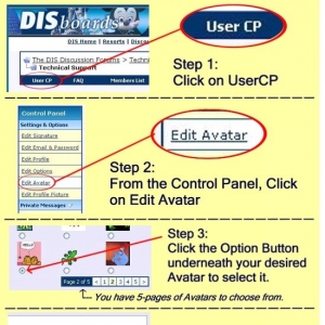 DIS Tech Support Standard Avatar Directions