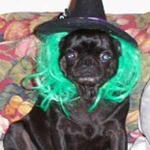 Molly-Witch