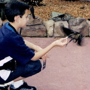 Feeding the birds