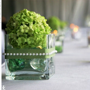 Centerpiece green and vase