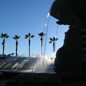 Dolphin fountain side shot