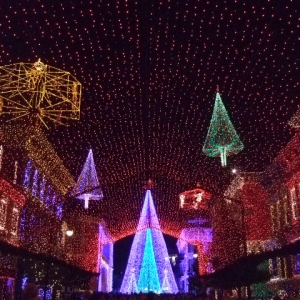 Spectacle of Dancing Lights