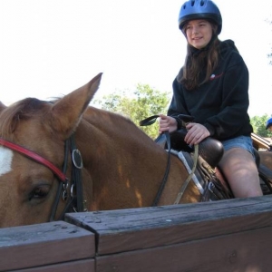 The Horse Whisperer