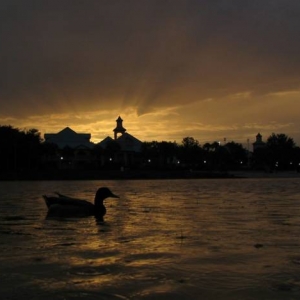 Caribbean Beach Resort at Sunset