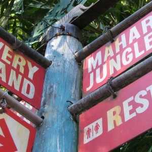 Animal Kingdom Sign