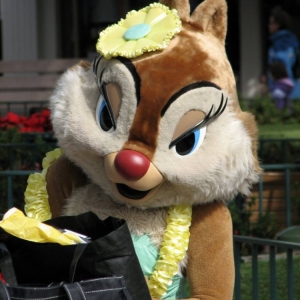 Media 'Clarice' in category 'Contest - Theme Park'