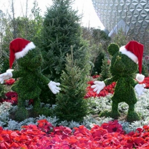 Mickey and Minnie Santa Bushes