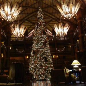 AKL Lobby Tree - Night