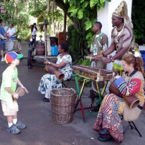 Brad Loves to Bongo Drum
