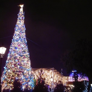 Epcot Tree